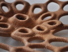 The Haeckel Bowl