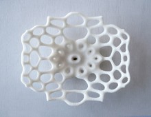 Haeckel Bowl in Salt