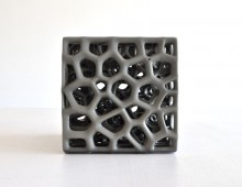 SCIN Cube